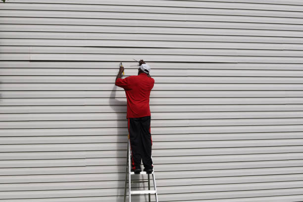 Best Insulated Siding Installation  in La Feria, TX